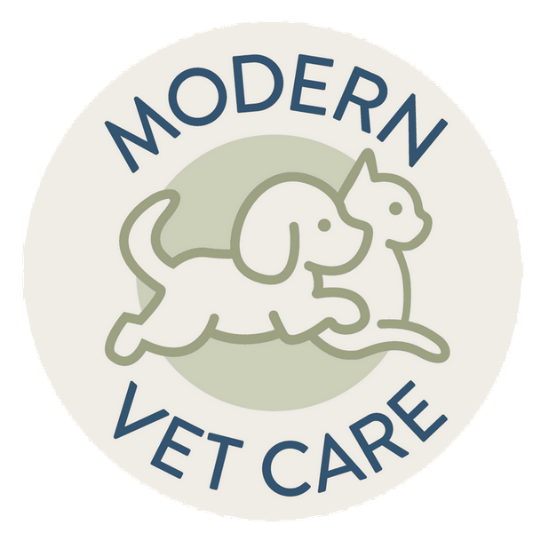 Modern Vet Clinic: Good veterinary care for your pet